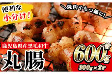 鹿児島県産 黒毛和牛 ホルモン 丸腸 約600g(300g×2P) 冷凍 小分け 国産 鹿児島県産 黒毛和牛 モツ もつ鍋 焼肉 ホルモンミックス お取り寄せ 冷凍 生冷凍【A-1739H】
