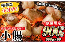 ＜数量・期間限定＞鹿児島県産 黒毛和牛 小腸 ホルモン 900g(300g×3P) 冷凍 小分け 国産 鹿児島県産 黒毛和牛 モツ 生ホルモン 生冷凍ホルモン お取り寄せ【L-003H】