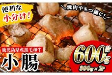 鹿児島県産 黒毛和牛 小腸 ホルモン 600g(300g×2P) 冷凍 小分け 国産 鹿児島県産 黒毛和牛 モツ 生ホルモン 生冷凍ホルモン お取り寄せ【A-1741H】