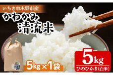 【令和6年度 新米 ＜10月中旬より発送＞】米 5kg（5kg×1袋）かわかみ清流米（ひのひかり） 令和6年 鹿児島県産 農家直送 新米 米 白米 5kg 袋 ひのひかり 備蓄 や 贈答 にもオススメ！【A-1761H】