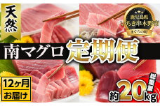 【12ヶ月定期便】南マグロ大トロ、中トロ、赤身を1年間毎月送付（合計12回　約20kg！）　新洋水産（有）【S-022H】