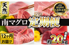 【12ヶ月定期便】南マグロ大トロ、中トロ、赤身を1年間毎月送付（合計12回　約20kg！）　新洋水産（有）【S-022H】