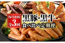 【3か月定期便】鹿児島黒豚（餃子とウインナー） と 鹿児島黒牛(ステーキ) の 食べ比べ 定期便 鹿児島県産 黒牛 黒豚 冷凍 で 毎月 お届け【E-135H】
