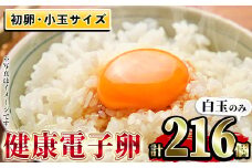 初卵！ 健康電子卵 白卵 216個（54個×4トレー）（うち、割れ保証分16個）国産 鹿児島県産 鶏卵 若鶏が初めて産んでから3週間くらいの間に産んだ大変貴重な卵【A-1828H】
