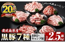 【家計応援】恵味の黒豚 BBQ・キャンプ用セット(7種・合計2.5kg超！)  冷凍 小分け 国産 鹿児島県産 黒豚 BBQ や キャンプ に ピッタリな7種セット！大容量！【CP-005H】