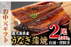 【令和7年お中元対応】厳選！国産 鹿児島県産 うなぎ蒲焼 2尾 約300g！ 鰻養殖生産量日本一 鹿児島県産新仔うなぎ使用 こだわりの地焼き！ 冷凍うなぎ 秘伝のタレ 付き うな重 うな丼 きざみ鰻 うなぎのせいろ蒸し弁当にもオススメ！ 贈答 ギフト にも！【南竹鰻加工】【TA-300H】