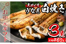 【令和7年お中元対応】厳選！ 国産 鹿児島県産 うなぎ 白焼き 大 3尾 約480g 秘伝のタレ 付き 鰻養殖生産量日本一 鹿児島県産新仔うなぎ使用 こだわりの地焼き！ 国産 鹿児島県産 冷凍 うなぎ 鰻 ウナギ 白焼き ギフト にも！【南竹鰻加工】【TB-037H】