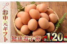 【令和7年お中元対応】健康電子卵 赤卵 Lサイズ 120個（10個×12パック）（うち、割れ保証分10個）国産 鹿児島県産 鶏卵 1パック10個入りで使い勝手がいい！【TA-290H】