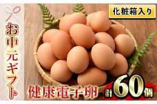 【令和7年お中元対応】 化粧箱入り！ 健康電子卵 赤卵 Lサイズ 60個（10個×6パック）（うち、割れ保証分10個）国産 鹿児島県産 鶏卵 1パック10個入りで使い勝手がいい！【TA-288H】