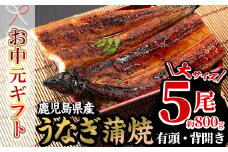 【令和7年お中元対応】厳選！国産 鹿児島県産 うなぎ 蒲焼 大5尾 合計約800g 鰻養殖生産量日本一 鹿児島県産新仔うなぎ使用 こだわりの地焼き！ 冷凍うなぎ 秘伝のタレ 付き うな重 うな丼 きざみ鰻 うなぎのせいろ蒸し弁当にもオススメ！ 贈答 ギフト にも！【南竹鰻加工】【TD-012H】