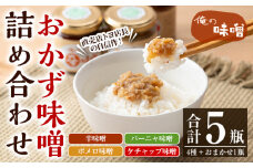 こだわり の「俺の味噌」100ｇ× 5瓶 セット （辛味噌・ポメロ味噌・バーニャ味噌・ケチャップ味噌・ランダム1瓶）発酵食Lab おかず味噌 おつまみ にも ご飯のお供 にも! 天然醸造味噌 食べ比べ 天然塩使用！発酵食 麹【A-1853H】