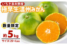 ＜先行予約＞数量限定 極早生 温州みかん 5kg 箱満杯バラ詰め！ Sサイズ～Lサイズ【A-1982H】