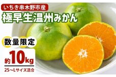 ＜先行予約＞数量限定 極早生 温州みかん 10kg 箱満杯バラ詰め！ 小玉 2Sサイズ～Lサイズ 【B-395H】