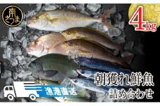【漁港直送】朝獲れ鮮魚 詰め合わせ 4ｋｇ