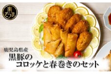 【鹿児島県産】黒豚コロッケと黒豚春巻きの詰め合わせ おかず 総菜 ギフト 贈答 冷凍 南さつま市