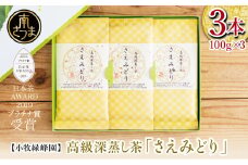 【日本茶AWARD受賞】高級深蒸し茶「さえみどり」 3本セット (100g×3袋) ギフト 贈答 鹿児島県産 かごしま お茶 日本茶 緑茶 茶葉 南さつま市 小牧緑峰園