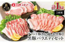 【ブランド黒豚】かごしま黒豚 3種類 計1kg バラエティセット お肉 国産 豚肉 鹿児島県産 冷凍 南さつま市