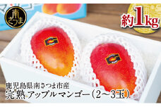 【7月上旬頃出荷開始】鹿児島県産 完熟アップルマンゴー 約1kg（2～3玉）贈答品用 ギフト 果物 フルーツ 国産 鹿児島県南さつま市産 有限会社秀美園