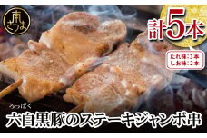 【鹿児島県産】六白黒豚のステーキジャンボ串 計5本（タレ×3本・塩×2本） おかず 簡単調理 ご自宅用 おつまみ バーベキュー BBQ 冷蔵 南さつま市
