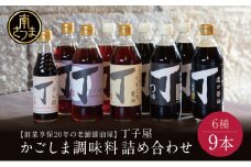 【創業享保20年の老舗醤油屋】丁子屋のかごしま調味料 詰め合わせ (6種) 贈答用 調味料 醤油 つゆ めんつゆ 酢 お酢 なごみ酢 鹿児島 南さつま市