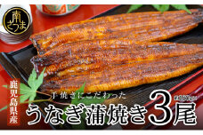 【鹿児島県産 鰻】うなぎ専門店「万のせ」 うなぎ蒲焼 3尾（手焼き）160g前後 ジューシー スタミナ ウナギ 鰻 蒲焼き 鹿児島県産 ギフト 鰻重 うな重 たれ ひつまぶし 土用丑の日 山椒 冷凍 簡単調理 贈り物 南さつま市