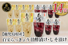 【鹿児島県産】白宝らっきょう 14P（甘酢漬け×7P・しそ漬け7P） ラッキョウ 甘酢らっきょう 惣菜 常温保存 ご飯のおとも 野菜 常温 漬物 国産 