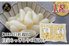【鹿児島県産】白宝らっきょうの塩漬け 900g×2P 惣菜 らっきょう漬 らっきょう 漬物 塩漬け 鹿児島 エスランドル 南さつま市