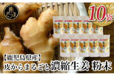 【健康習慣】皮からまるごと 濃縮生姜 粉末 15g×10袋 生姜パウダー ジンジャー パウダー 生姜 粉末 料理 味噌汁 生姜焼き 粉末 しょうが 鹿児島 エスランドル 南さつま市