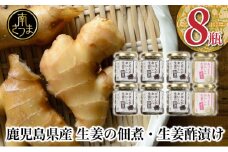 【健康習慣】生姜の佃煮・生姜酢漬け 2種 計8個 佃煮 つくだ煮 セット 珍味 惣菜 生姜 しょうが 鹿児島 エスランドル 南さつま市