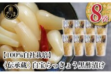 鹿児島県産 〈プレミアム〉伝承蔵～白宝らっきょう黒酢漬け～（90g×8P） 惣菜 らっきょう漬 らっきょう 漬物 黒酢 鹿児島 エスランドル 南さつま市