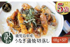 【訳あり】【鹿児島県産 鰻】うなぎ蒲焼切落し 個包装パック 計200g(40g×5P) うな丼 ひつまぶし 調理用 ご自宅用 うざく 鰻玉 卵焼き 訳有り 食品 お取り寄せグルメ おかず 惣菜 南さつま市
