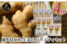 【健康習慣】生姜のバラエティセット 4種 生姜パウダー ジンジャー ココア スナック 佃煮 ごはん 料理 味噌汁 しょうが 鹿児島 エスランドル 南さつま市