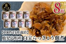 【鹿児島県産】白宝らっきょう佃煮 8個 佃煮 つくだ煮 セット 珍味 惣菜 らっきょう 鹿児島 エスランドル 南さつま市