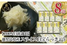 【鹿児島県産】スライス白宝らっきょう 8袋 惣菜 らっきょう漬 らっきょう 漬物 甘酢 鹿児島 エスランドル 南さつま市