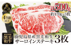 【鹿児島県産】黒毛和牛 サーロインステーキ 約500g （約170g×3枚） 牛肉 A4等級 ステーキ BBQ ギフト 贈答 冷凍 スターゼン 南さつま市