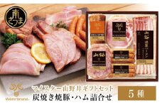 【マイスター山野井】 炭焼き焼豚とハムの詰め合わせ（5種） チャーシュー 焼き豚 ロースハム 燻製荒びきポーク オードブル 惣菜 おかず おせち パーティー 手土産 ギフト  贈り物 贈答用 ご贈答 セット 詰合せ 詰め合わせ 冷蔵 南さつま市