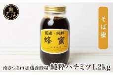 【国産 純粋はちみつ】そば蜂蜜 1.2kg 国産 ハチミツ ソバ 鹿児島産 ギフト ご贈答 熨斗対応 加藤養蜂場 南さつま市