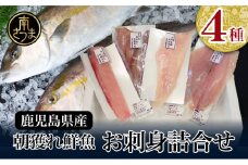 ◆お届け月が選べる◆【漁師厳選】朝獲れ鮮魚のお刺身詰め合わせ（4種） 魚 冷蔵 刺身 鮮魚 ヤマチョウ 鹿児島県産 海鮮 直送 セット 詰め合わせ ヤマチョウ 南さつま市
