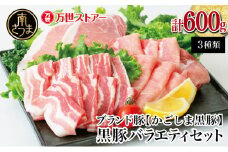 【ブランド黒豚】かごしま黒豚 3種類 計600g バラエティセット お肉 国産 豚肉 焼肉 とんかつ しゃぶしゃぶ 鹿児島県産 冷凍 南さつま市