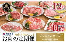 【定期便 全12回】情熱牧場 鹿児島県産お肉の定期便 プレミアムコース 定期配送 お肉 ステーキ すき焼き しゃぶしゃぶ A5等級 ブランド 黒毛和牛 牛肉 豚肉 焼肉 定期便 冷凍 カミチク 南さつま市