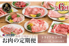 【定期便全6回】情熱牧場 鹿児島県産お肉の定期便 トライアルコース お肉 ステーキ すき焼き しゃぶしゃぶ A5等級 黒毛和牛 牛肉 豚肉 焼肉 定期便 冷凍 カミチク 南さつま市