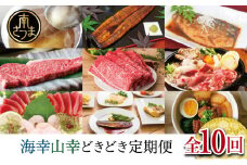 海幸山幸どきどき 定期便（全10回）お肉 お魚 黒豚 牛肉 すき焼き ステーキ 角煮 鰻 蒲焼 刺身用たかえび マグロ 出汁 鰹節 鹿児島黒牛 生姜焼き おかず 煮魚 定期配送