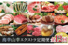 【定期便】海幸山幸 エクストラ厳選 定期便（全12回） お肉 お魚 豚肉 牛肉 黒豚  鹿児島黒牛 すき焼き サーロイン ステーキ しゃぶしゃぶ 角煮 鰻 蒲焼 刺身用 たかえび 薩摩甘えび 海老 マグロ さつま揚げ 焼豚 ハム レトルト ハンバーグ 出汁 鰹節