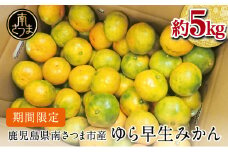 【2025年 先行予約 】 鹿児島県産 ゆら早生みかん 約5kg ≪ 期間限定 ≫ 柑橘 くだもの フルーツ 果実 みかん ミカン 蜜柑 温州みかん 極早生 わせみかん 甘味 ジューシー 鹿児島県南さつま市産 国産 国内産 JA南さつま