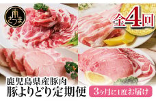 【モリモリ定期便】鹿児島県産豚よりどり定期便（全4回） しゃぶしゃぶ 生姜焼き とんかつ トンカツ バラ ロース お肉 小分け 冷凍 定期便 カミチク 南さつま市