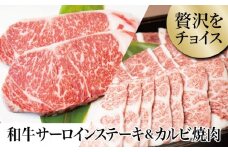 【鹿児島県産】 黒毛和牛 サーロイン ステーキ 320g＆カルビ 焼肉 300g お肉 牛肉 バラ バーベキュー BBQ ステーキ セット 食べ比べ 冷凍 スターゼン 南さつま市
