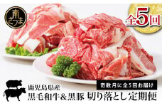 【モリモリ定期便】鹿児島県産 黒毛和牛＆黒豚 切落し 定期便 （全5回）切り落とし 牛丼 肉じゃが カレー 炒め物 定期便 冷凍 スターゼン 南さつま市