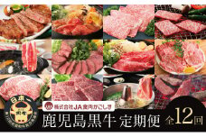 【JA食肉かごしま】鹿児島黒牛定期便（全12回） 和牛日本一の「鹿児島黒牛」お肉 ステーキ すき焼き しゃぶしゃぶ 黒毛和牛 牛肉 定期便 南さつま市