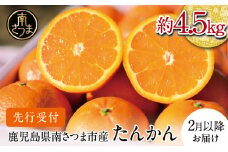 【2026年2月中旬発送開始】鹿児島県産 ブランドたんかん 約4.5kg 柑橘 みかんミカン 蜜柑 かごしまブランド 果物 果実 南国 フルーツ 旬 甘味 ジューシー 期間限定 先行受付 国産 国内産 南さつま市 JA南さつま