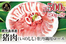 【南さつまジビエ】鹿児島県南さつま産 猪（いのしし）肉　牡丹鍋用ロース 500g（250g×2P） 冷凍 グルメ ジビエ肉 鍋用 おなべ イノシシ鍋